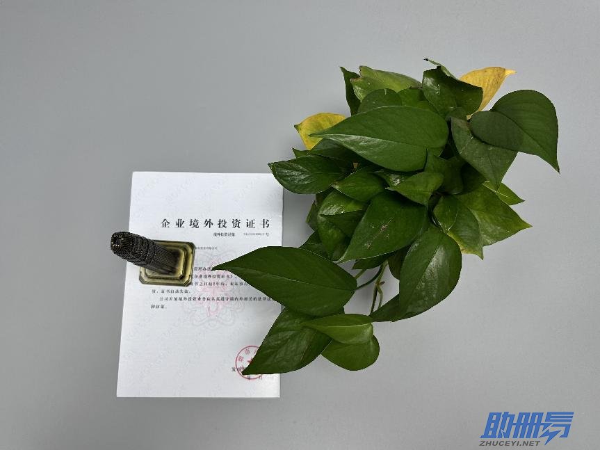 海外公司后期維護(hù)知識(shí)介紹！
